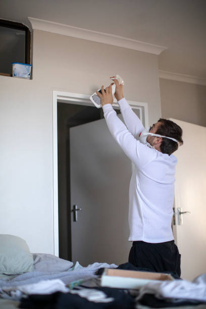 Best Mold Remediation for Vacation Homes  in Navajo, NM