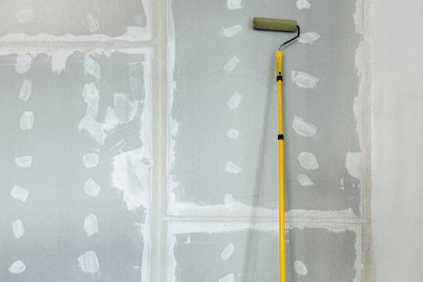 Best Black Mold Removal  in Navajo, NM