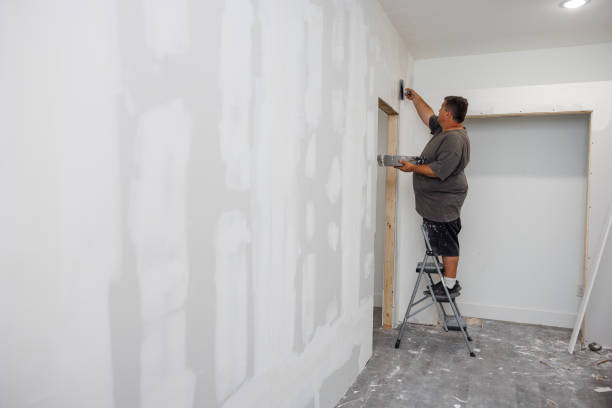 Best Mold Documentation for Insurance Claims  in Navajo, NM