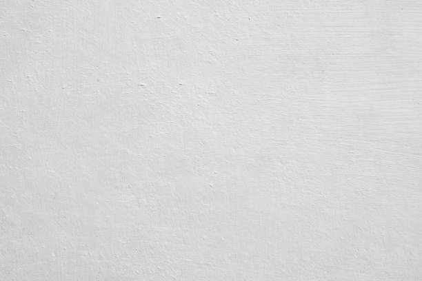  Navajo, NM Mold Removal Pros