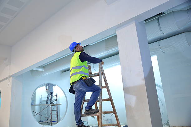 Best Attic Mold Removal  in Navajo, NM